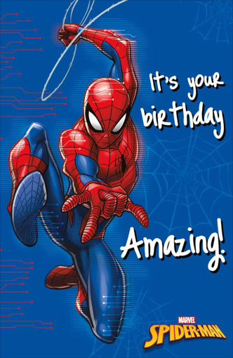Picture of ITS YOUR BIRTHDAY SPIDERMAN CARD